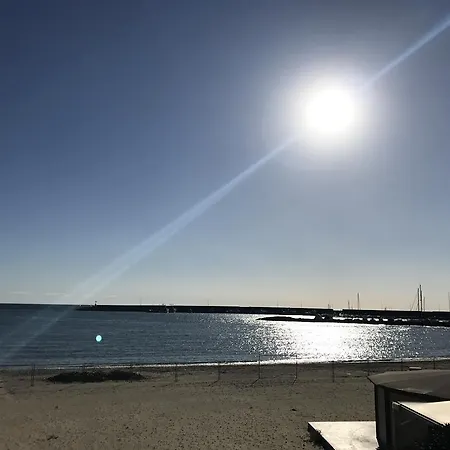 Mare